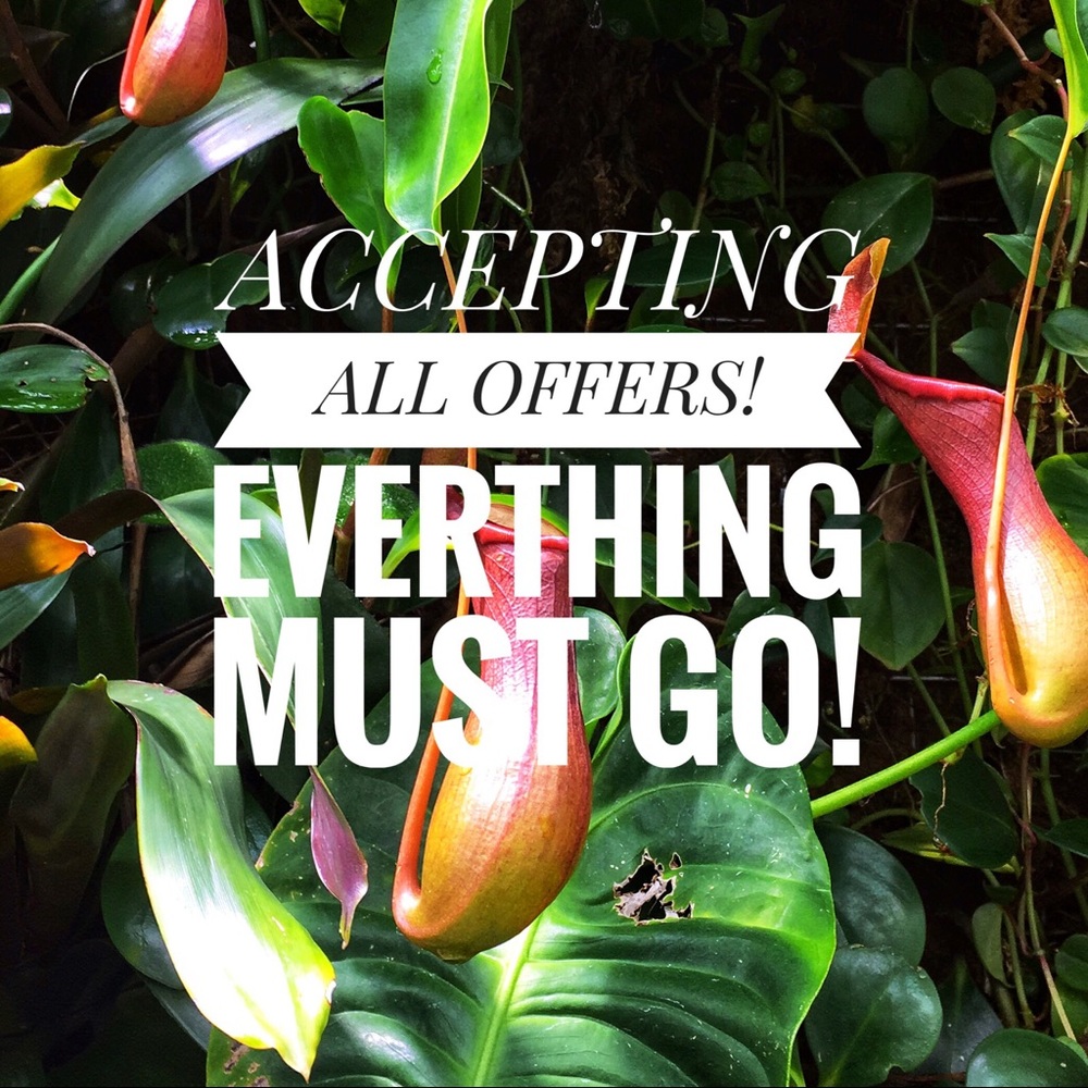 Accepting reasonable Offers!